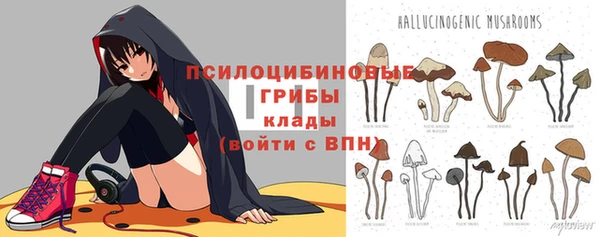 мяу мяу мука Алексеевка