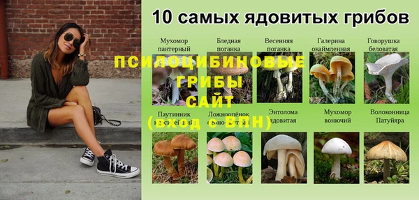 Альфа ПВП Алзамай