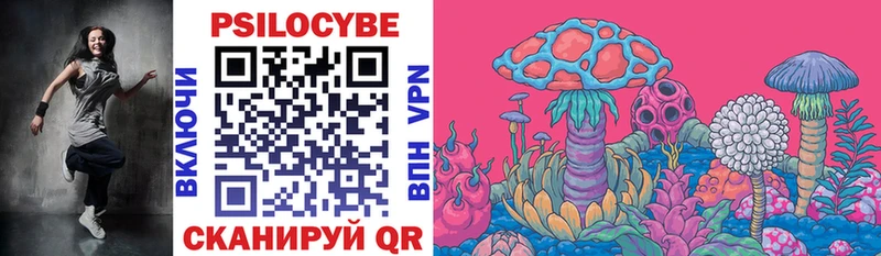 купить наркоту  Петровск-Забайкальский  Галлюциногенные грибы MAGIC MUSHROOMS 